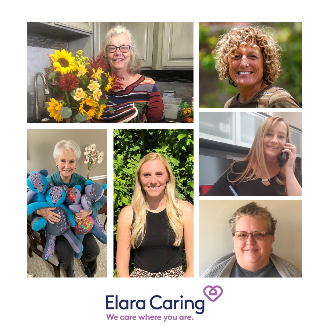 elara caring home care volunteers
